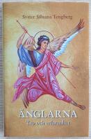 &Auml;nglarna : tro och erfarenhet