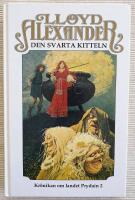 Den svarta kitteln. Kr&ouml;nikan om landet Prydain 2