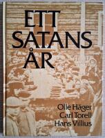 Ett satans &aring;r : Norrland 1867