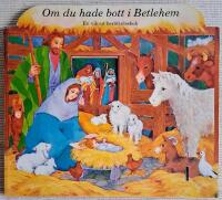 Om du hade bott i Betlehem : en vik-ut ber&auml;ttelsebok