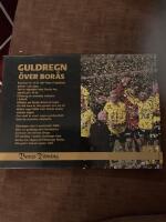 Guldregn &ouml;ver Bor&aring;s