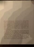 Frestelsens berg : en roman om Kiruna-Lasse