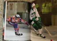 Guld&aring;ret 2008-2009 : En bok om V&auml;ster&aring;s SK och v&auml;gen till det artonde guldet i bandy