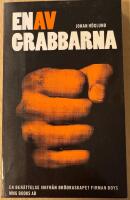 En av grabbarna : [en ber&auml;ttelse inifr&aring;n br&ouml;draskapet Firman boys]