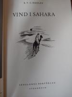 Vind i Sahara