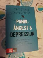Panik&aring;ngest och depression : fr&aring;gor och svar om tv&aring; av v&aring;ra vanligaste folksjukdomar