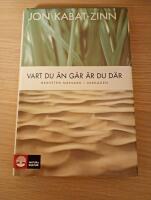 Vart du &auml;n g&aring;r &auml;r du d&auml;r : medveten n&auml;rvaro i vardagen