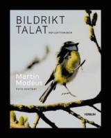 Bildrikt talat : reflektionsbok