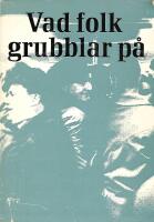 Vad folk grubblar p&aring; : en studiebok om moderna m&auml;nniskors livsfr&aring;gor