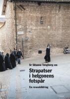 Strapatser i helgonens fotsp&aring;r : en reseskildring