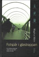 Fotsp&aring;r i glastrappan : den svindlande kl&auml;ttringen i Babels torn och v&auml;gen tillbaka till jorden