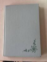 Blommor i vas och glas