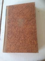 Vainio: en Lappmarkssocken ovan polcirkeln av 