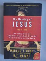 The meaning of Jesus : two visions