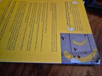 E-learning theory and practice