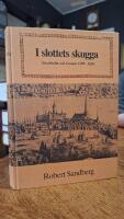 I slottets skugga : Stockholm och kronan 1599-1620