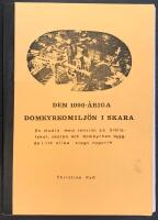 Den 1000-&aring;riga domkyrkomilj&ouml;n i Skara : en studie med tonvikt p&aring; biblioteket, skolan och domkyrkan byggda i tre olika slags nygotik