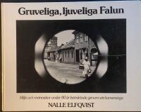 Gruveliga, ljuveliga Falun : milj&ouml; och m&auml;nniskor under 80 &aring;r betraktade genom ett kamera&ouml;ga