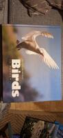 Birds of Mauritius and Rodrigues / Birds: &Icirc;le Maurice &ndash; Rodrigues Art / Photobook By: 