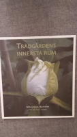 Tr&auml;dg&aring;rdens innersta rum