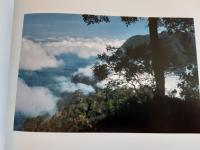 Penan - Voice for the Borneo Rainfotest