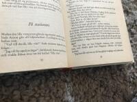 Lilla vampyren reser bort