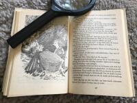 Lilla vampyren reser bort