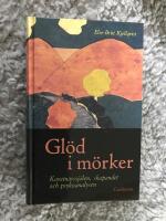Gl&ouml;d i m&ouml;rker : konstn&auml;rssj&auml;len, skapandet och psykoanalysen