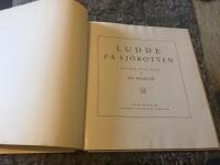 Ludde p&aring; sj&ouml;botten