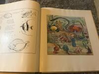 Ludde p&aring; sj&ouml;botten