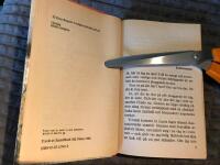 Glad sommar, Lotta! / Lotta-bok nr 2400