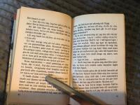 Glad sommar, Lotta! / Lotta-bok nr 2400