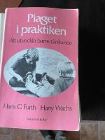 Piaget i praktiken - att utveckla barns t&auml;nkande