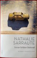 Innan bilden bleknat