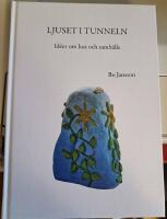Ljuset i tunneln : id&eacute;er om hus och samh&auml;lle