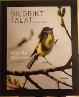 Bildrikt talat : reflektionsbok
