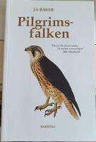 Pilgrimsfalken