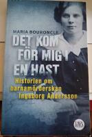 Det kom f&ouml;r mig i en hast : historien om barnam&ouml;rderskan Ingeborg Andersson
