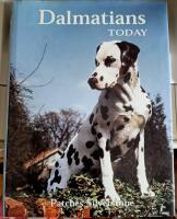 Dalmatians Today
