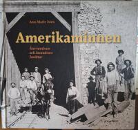 Amerikaminnen : &aring;tervandrare och invandrare ber&auml;ttar