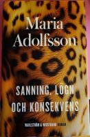 Sanning, l&ouml;gn och konsekvens