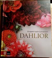 Dahlior