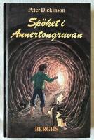 Sp&ouml;ket i Annertongruvan