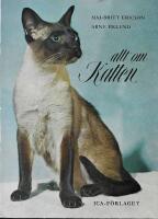 Allt om katten