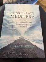 Konsten att meditera