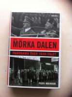 Den m&ouml;rka dalen : Panorama &ouml;ver 1930-talet