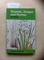 Grasses, sedges and rushes in colour