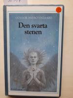 Den svarta stenen : ungdomsroman