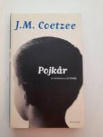 Pojk&aring;r : scener ur ett liv i provinsen