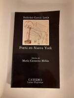Poeta en Nueva York